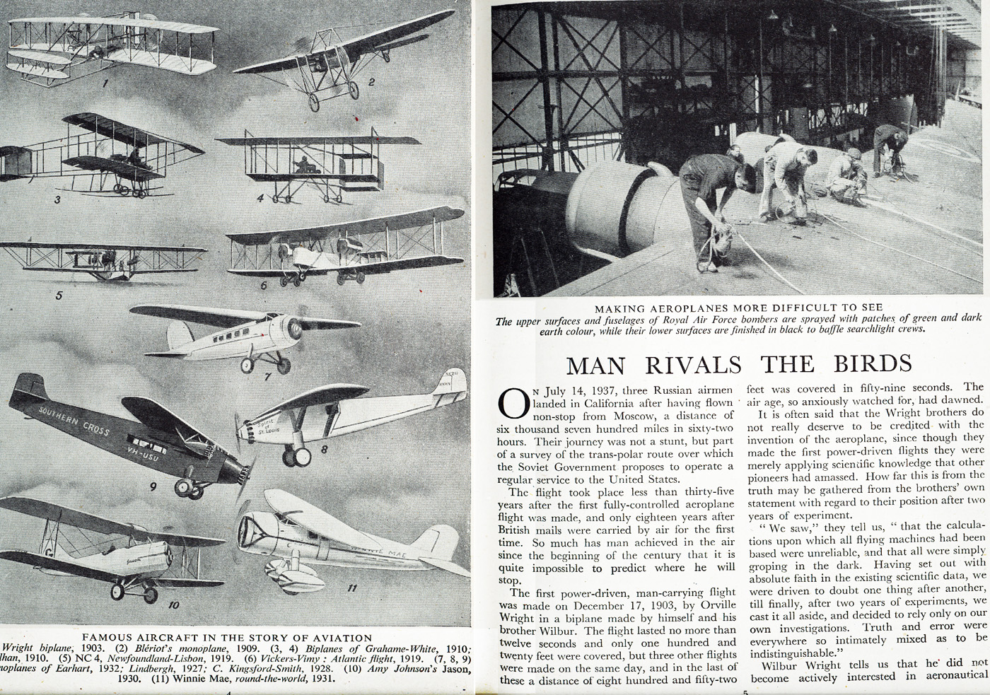 Man rivals the birds