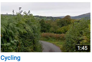 Cycling down a leafy lane